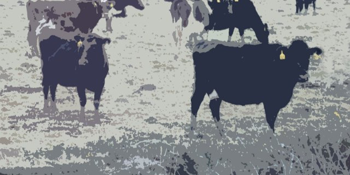 Casinos Near Me Free Tool to Find the Closest Casinos by Location