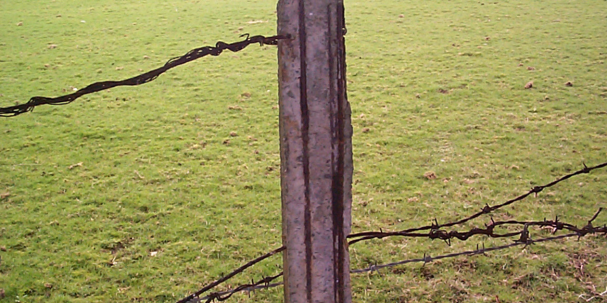 Best New Online Australian Casinos for 2025 Ranked & Reviewed