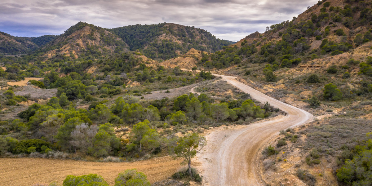 A Glimpse Into The Secrets Of Buy Replacement Spanish Driver's License