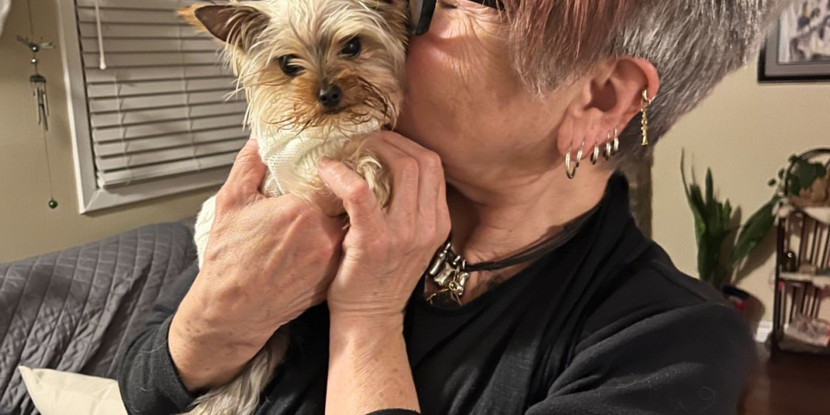 It's The One Yorkie Online Shop Trick Every Person Should Be Able To