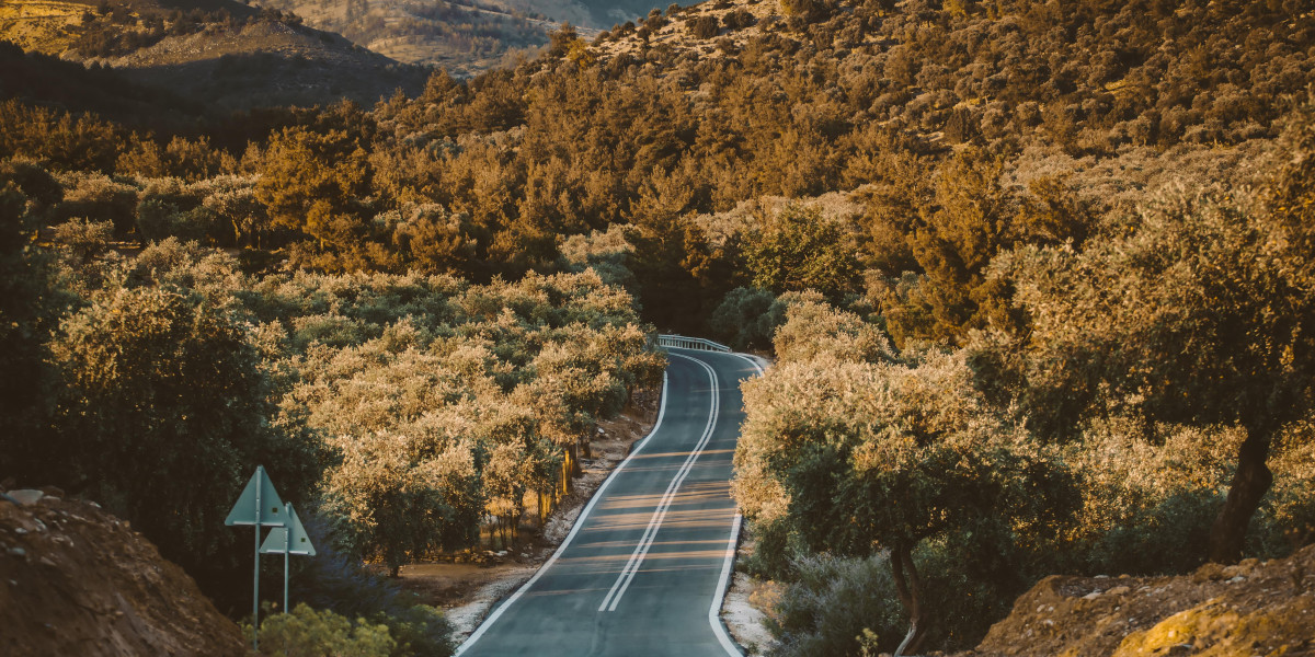 What's The Current Job Market For Authentic European Driver's License Spain Professionals?