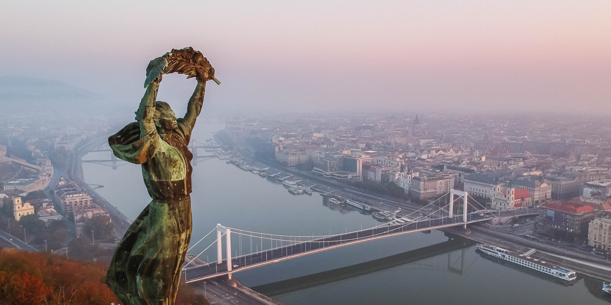 How To Explain Hungarian Id Card Application To Your Mom