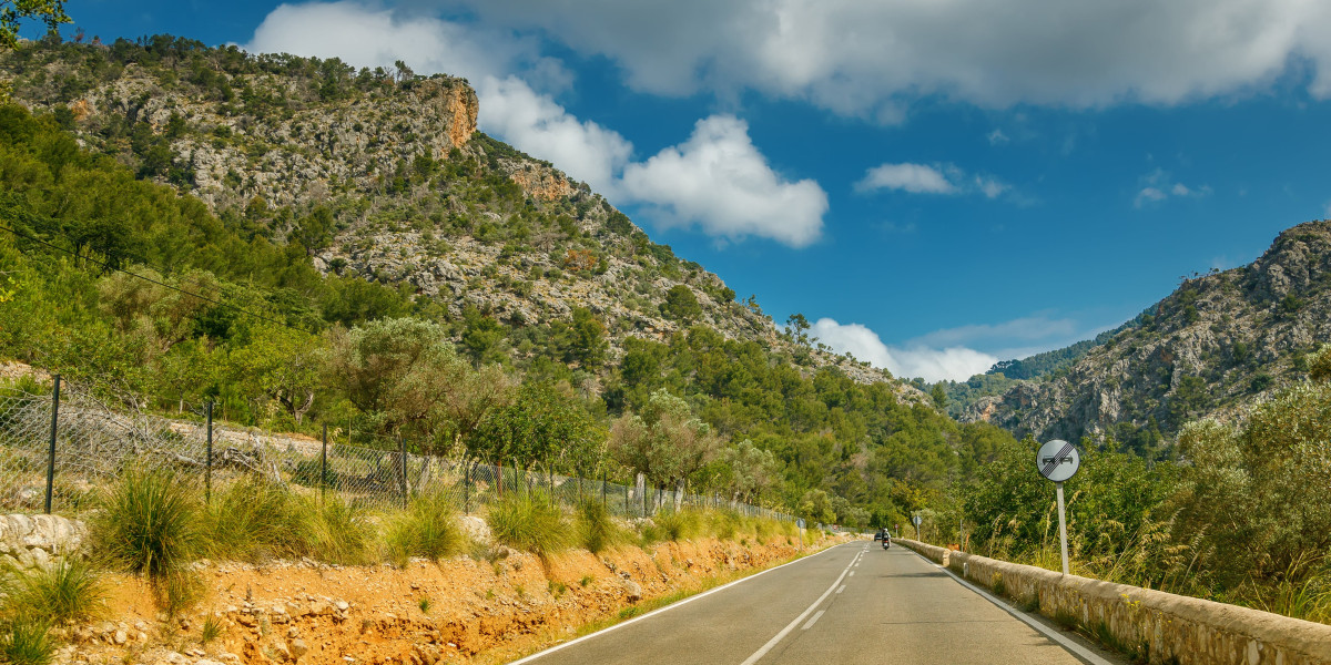The One Buy Genuine Driver's License In Spain Mistake That Every Beginner Makes