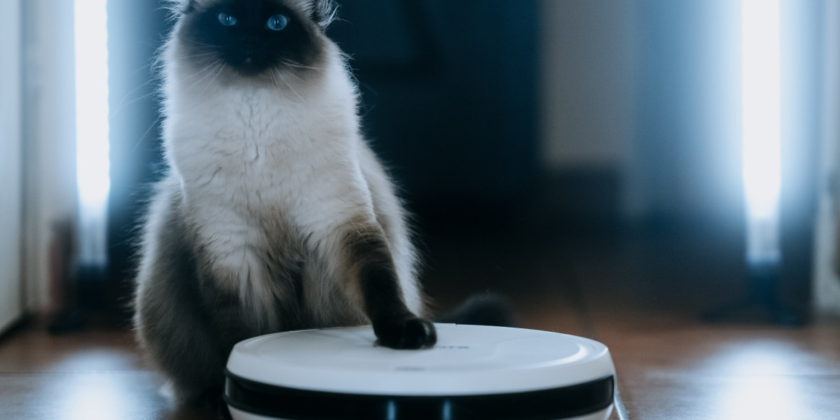 15 Top Self Emptying Robot Vacuum And Mop Bloggers You Should Follow