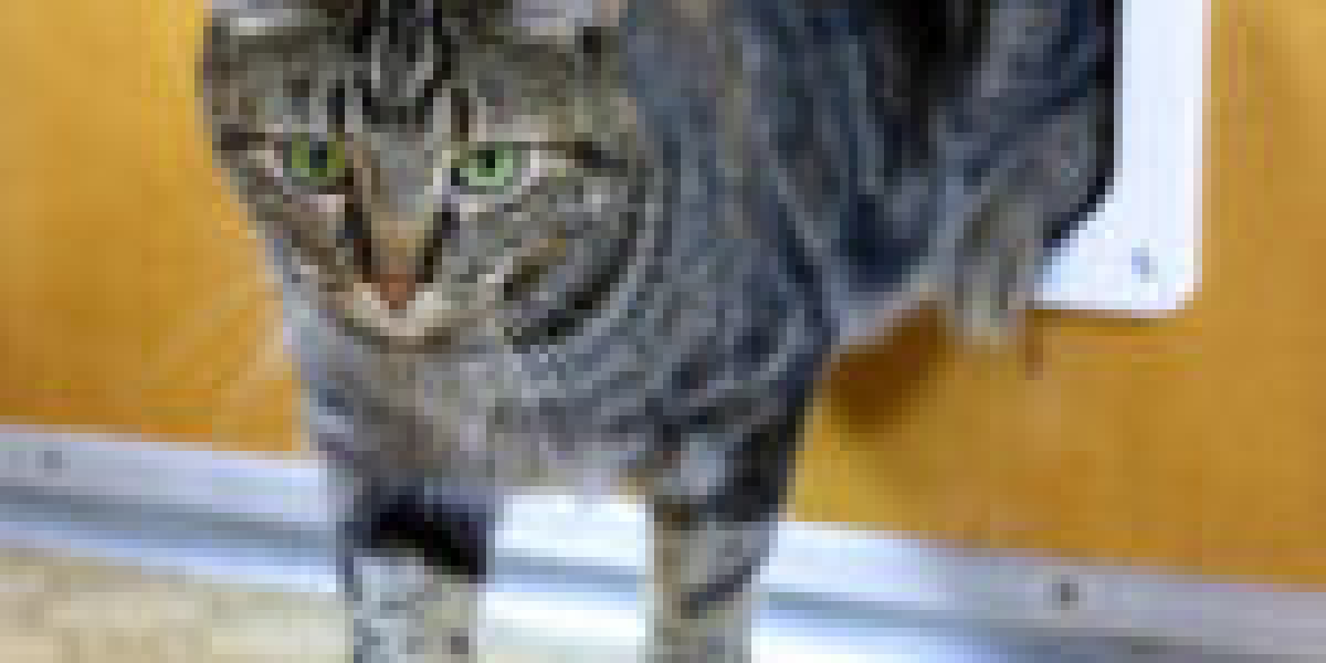 This Is The Ultimate Cheat Sheet For Cat Door Assembly