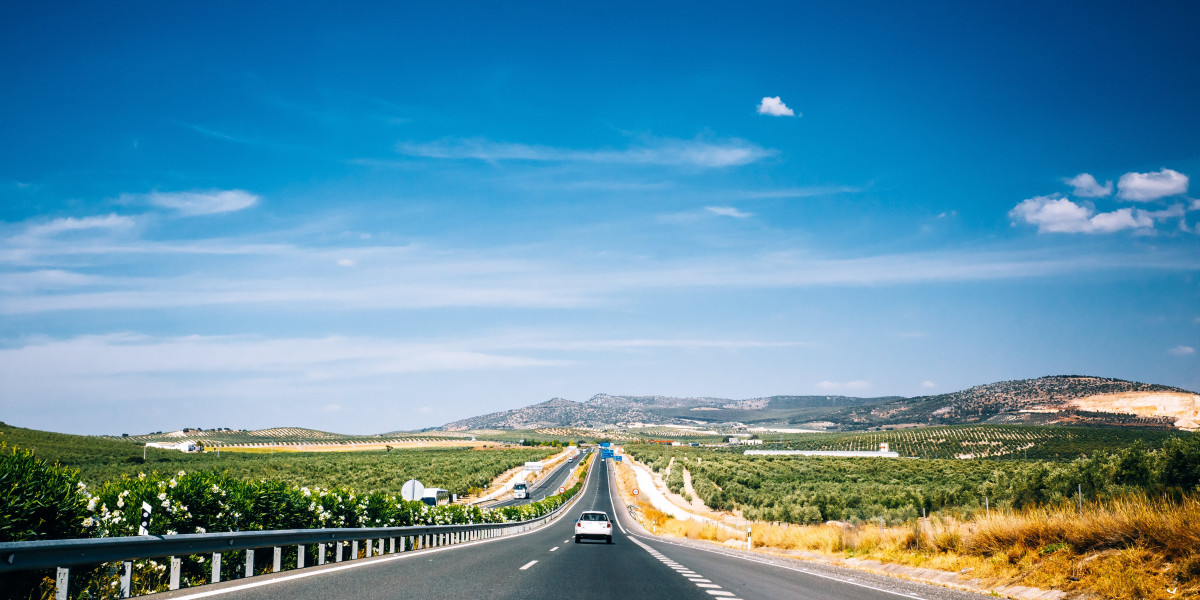 All The Details Of Buy Driver's License In Spain Dos And Don'ts