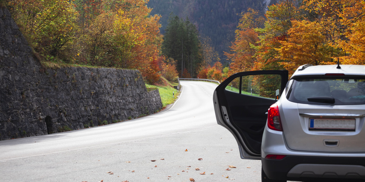 Guide To Buy Real Austrian Drivers License Online: The Intermediate Guide The Steps To Buy Real Austrian Drivers License