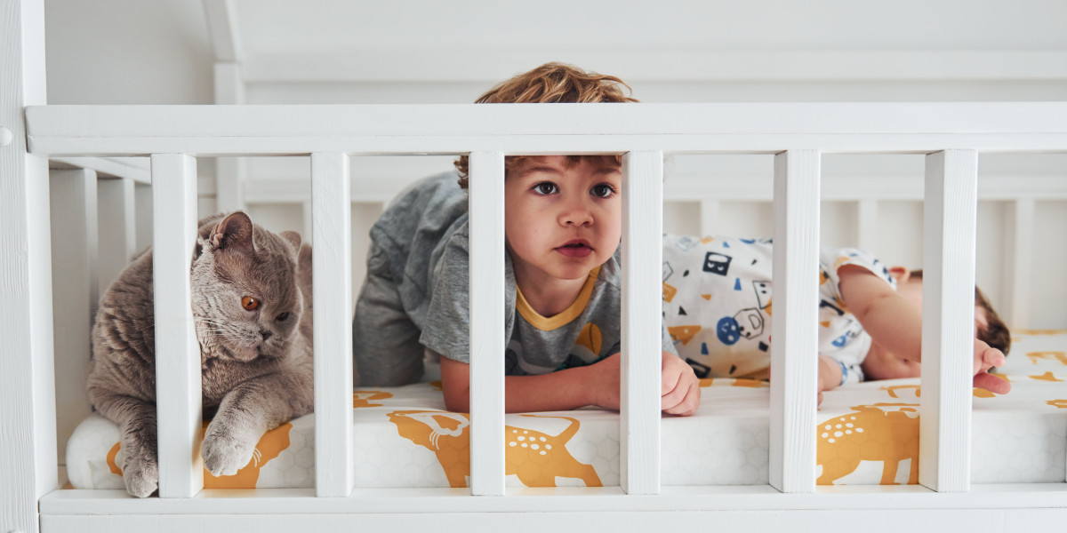 What's The Current Job Market For Bedside Crib For Attachment Parenting Professionals?