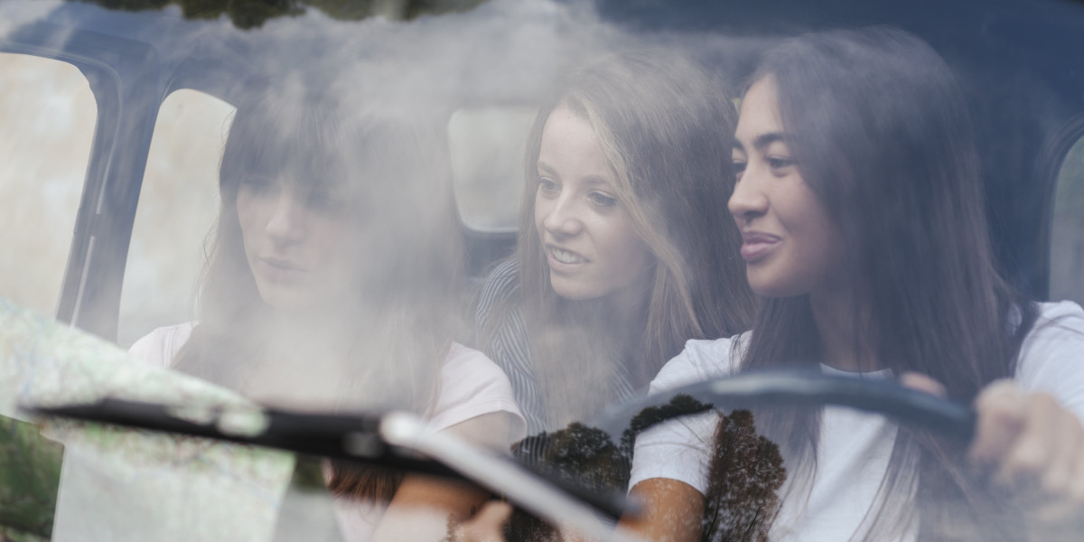 Where Will Affordable Belgium Driver's License 1 Year From In The Near Future?