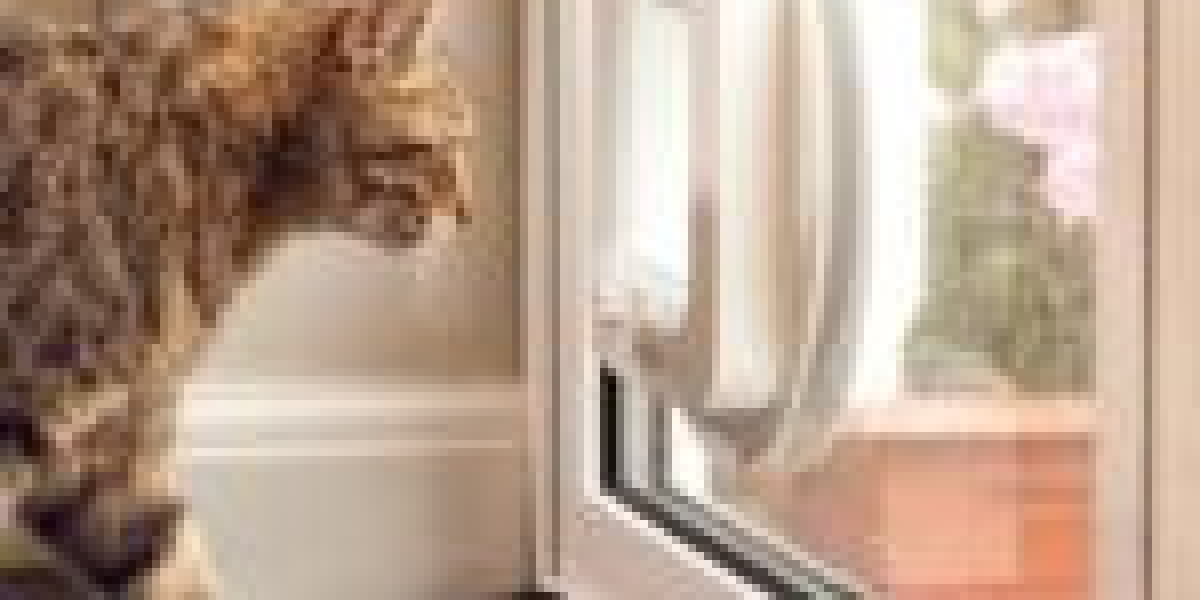 7 Little Changes That'll Make A Huge Difference In Your Cat Door Technician