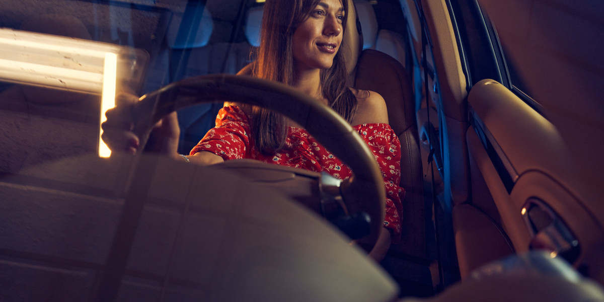 The Worst Advice We've Received On Czech Driving License Requirements