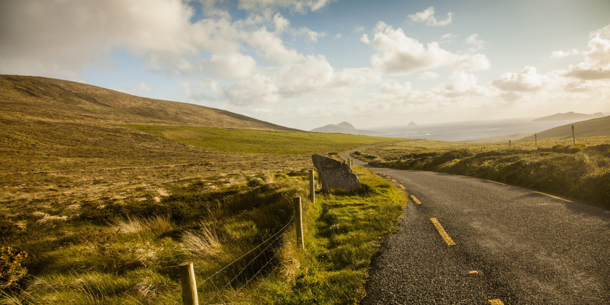 See What Buy A Driver's License In Ireland Tricks The Celebs Are Utilizing