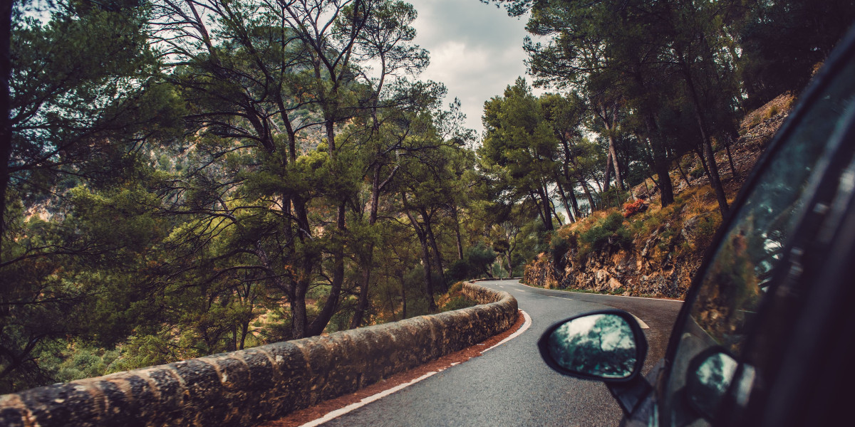 20 Trailblazers Setting The Standard In Spain Driving License