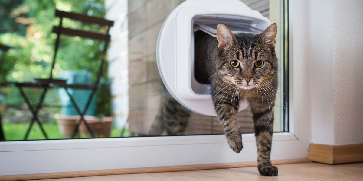 What's Holding Back The cat flap installers Industry?