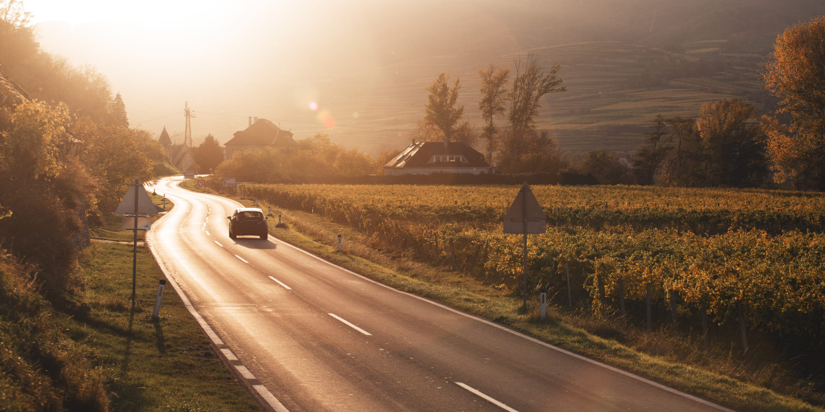 24-Hours To Improve Buy Hungary Driver's License