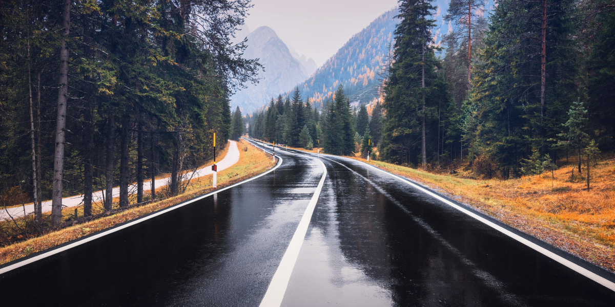 10 Healthy Austrian Drivers License Expedited Habits