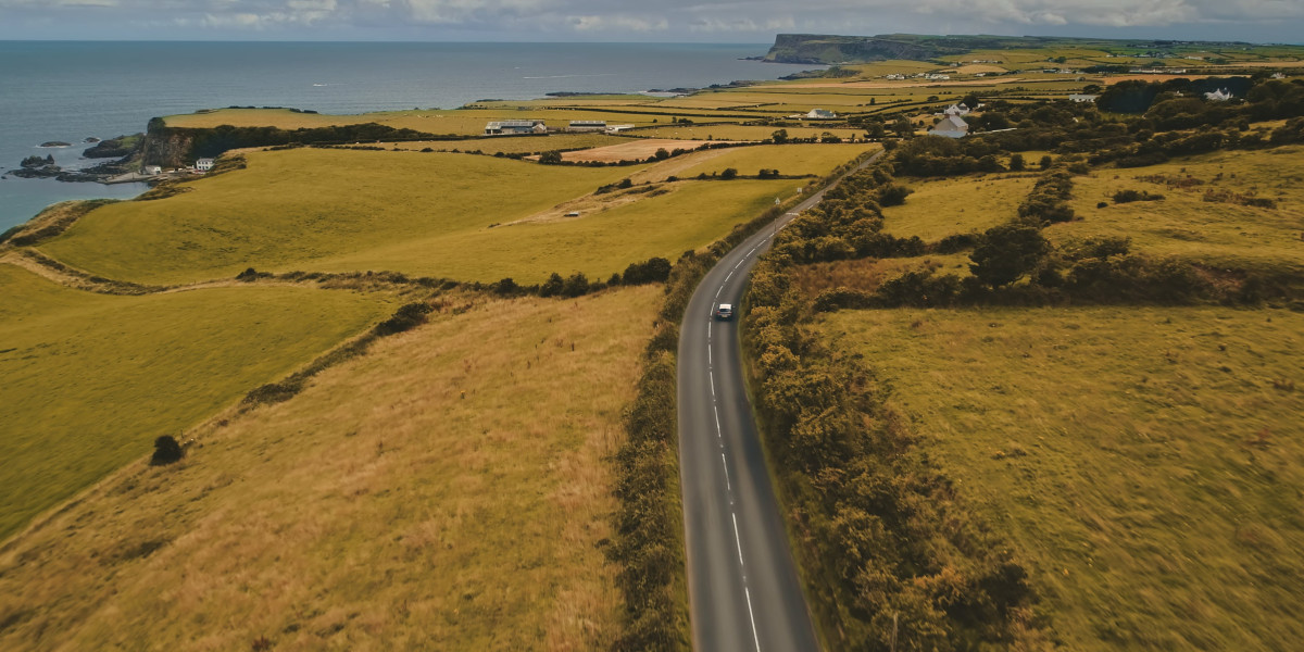 What's The Job Market For Buy Irish Driving License Professionals Like?