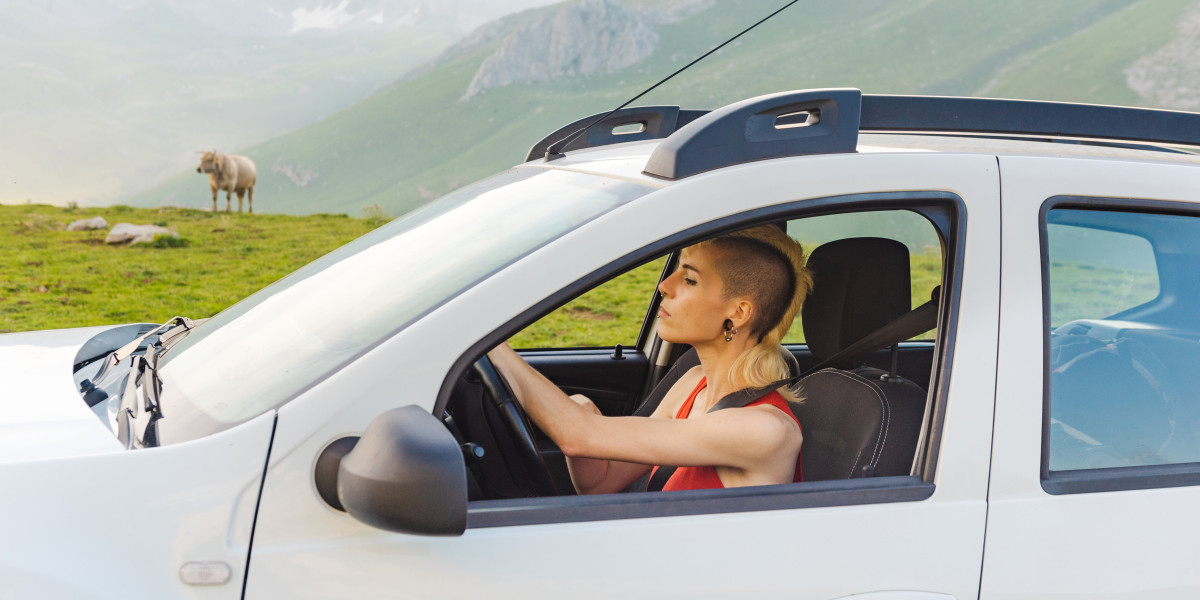 See What Get Your Irish Driving License Tricks The Celebs Are Using