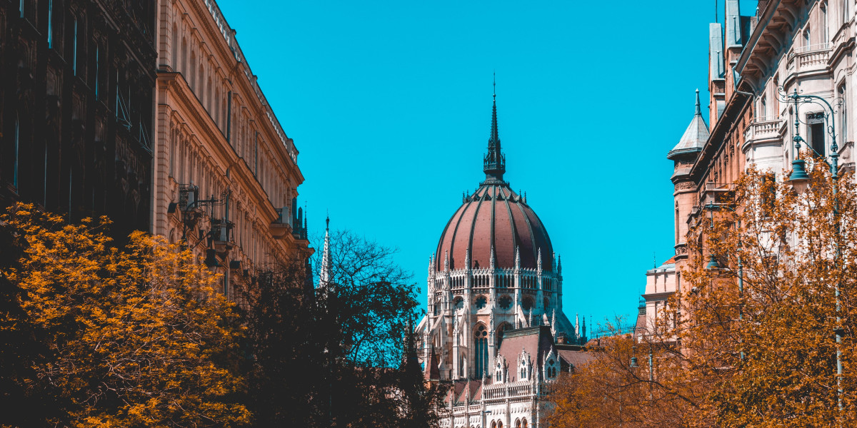 10 Unquestionable Reasons People Hate Hungarian Driver's License Validity