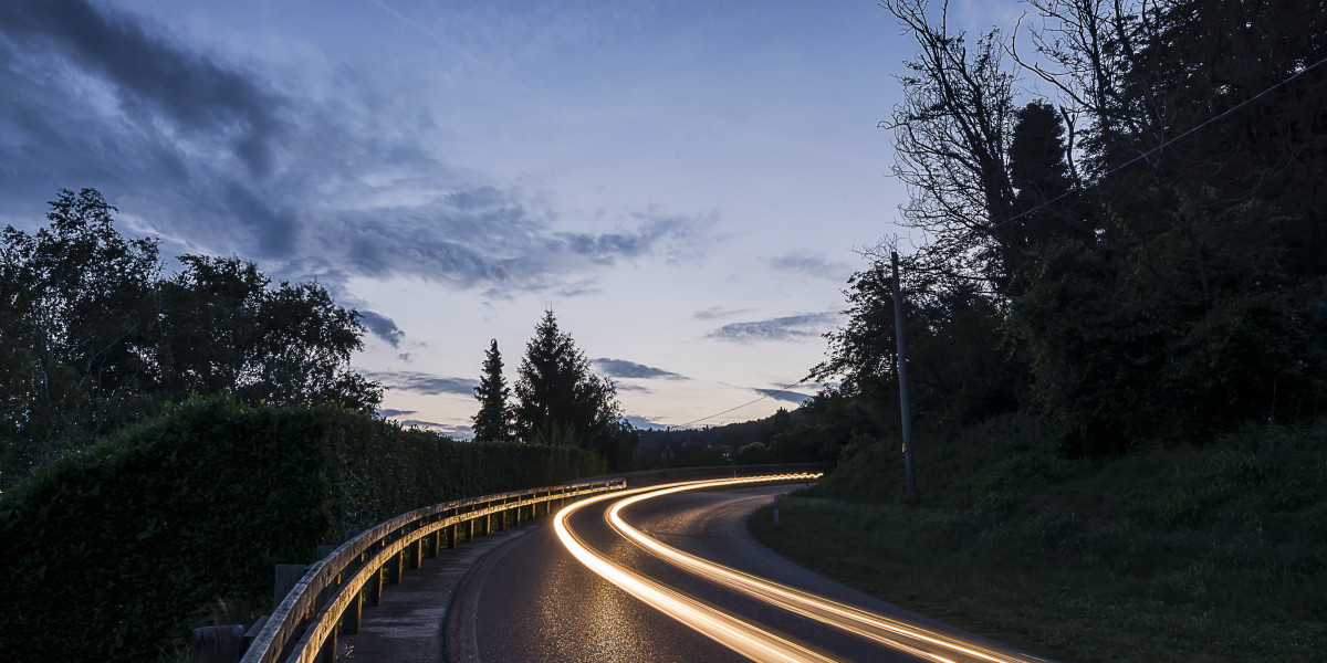 Is Austrian Drivers License Delivery The Greatest Thing There Ever Was?