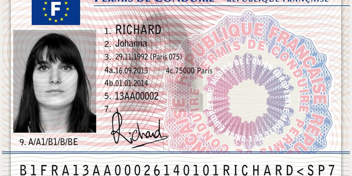 10 Places Where You Can Find French Driving License Online