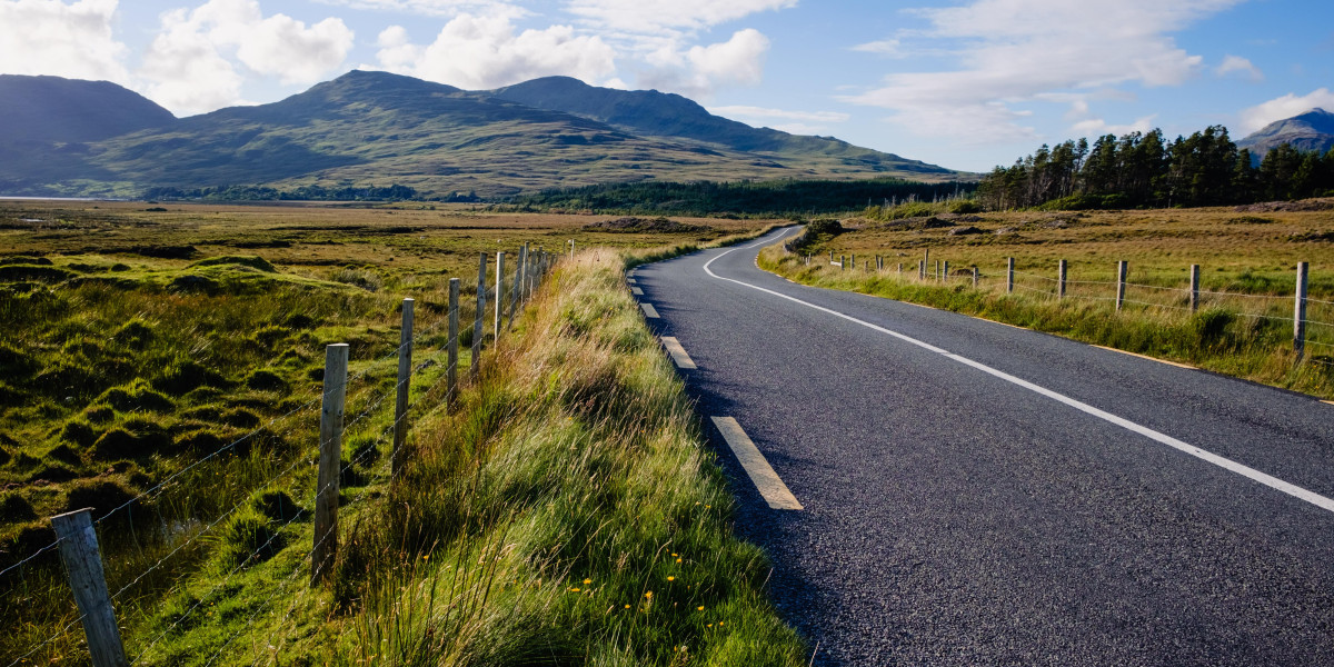 What's The Job Market For Irish Driver's License For Sale Professionals Like?