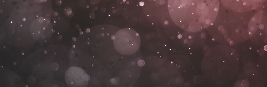 Lilly Burgoyne Cover Image